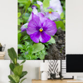 Leuke paarse violette foto poster (Thuiskantoor)