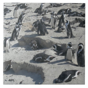 Leuke Pinguïns op Strand Keramische Tegel Tegeltje
