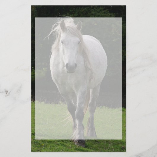 Leuke pony foto briefpapier (Voorkant)