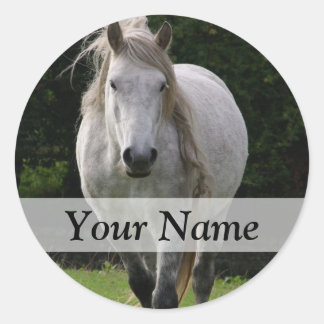 Leuke pony foto ronde sticker