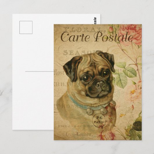 Leuke Pug Dog Briefkaart (Voorkant / Achterkant)
