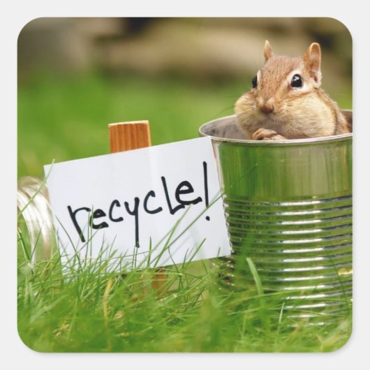 Leuke recycling Chipmunk Vierkante Sticker (Voorkant)
