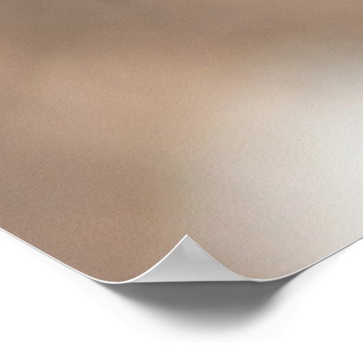 Leuke rode tulp foto poster (Hoek)