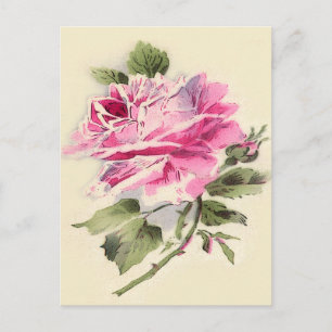 Leuke rozen briefkaart