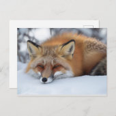 Leuke rustende vos winter dier briefkaart (Voorkant / Achterkant)