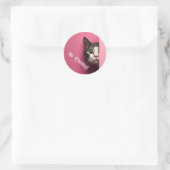 Leuke Tabby Kat Peeks Ronde Sticker (Tas)