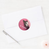 Leuke Tabby Kat Peeks Ronde Sticker (Envelop)