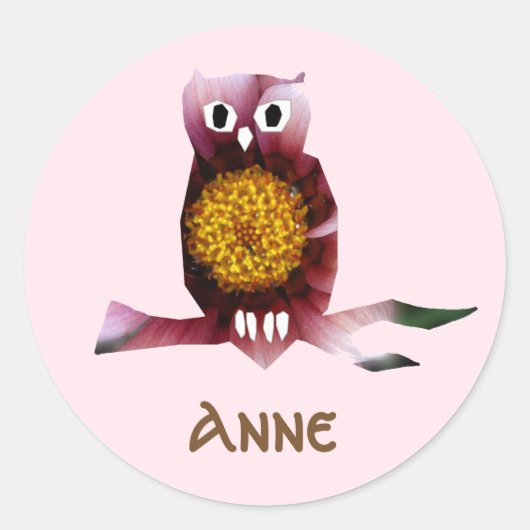 Leuke Uil, Vogel, Meisje Partij Custom Sticker (Voorkant)