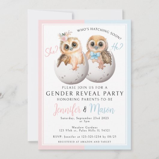Leuke uilen roze blauw geslacht onthullen partij U Kaart (Voorkant)