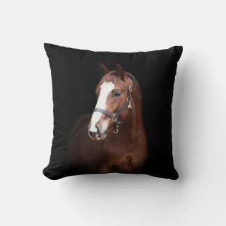 Leuke  veulen paard zwarte achtergrond kussen