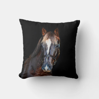Leuke  veulen paard zwarte achtergrond kussen