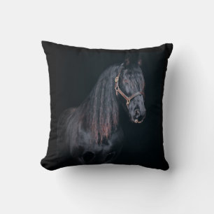 Leuke veulen paard zwarte achtergrond kussen