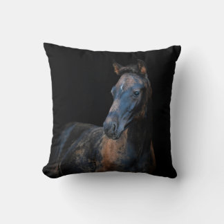 Leuke  veulen paard zwarte achtergrond kussen