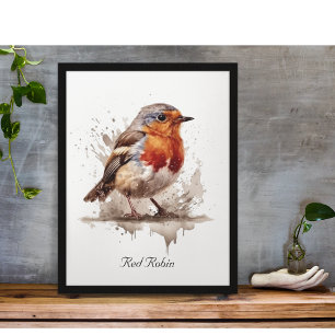 Leuke vogelrode robin in de waterverf poster