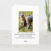 LEUKE VOS TWEE KAART (Achterkant)