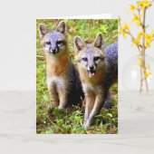 LEUKE VOS TWEE KAART (Gele Bloem)