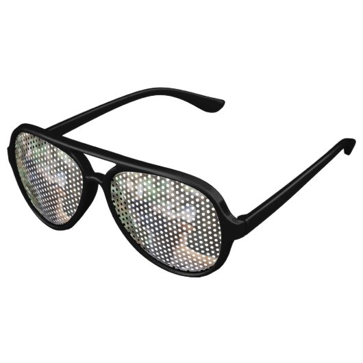 Leuke Wallaby Aviator Zonnebril (Gekanteld)