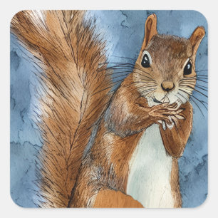 Leuke Waterverf geschetste eekhoorn Vierkante Sticker