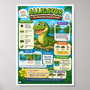 Leuke weetjes over alligators voor kinderen poster