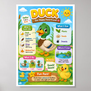 Leuke weetjes over eenden voor kinderen poster