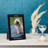 Leuke witte Yorkshire Terrier Fotoplaat (Zijkant)