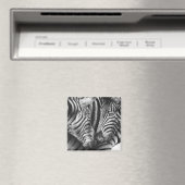 Leuke Zebra magneet (Insitu (Vaatwasser))
