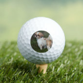 Leukste shih tzu golfballen (Insitu Shirt)