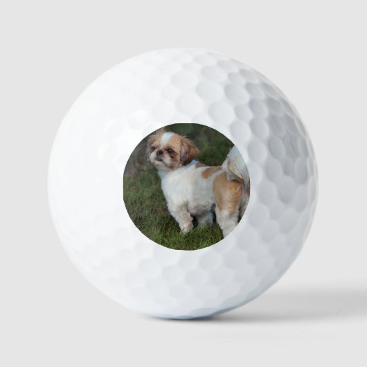 Leukste shih tzu golfballen (Voorkant)