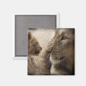 Leuness en Cub Magneet (Voorkant / Achterkant)