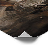 Leuness op boom poster (Hoek)