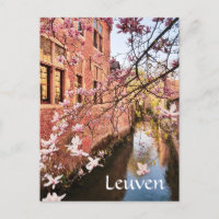 Leuven Belgium reisfoto Postcard