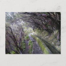 Levadas op Madeira, Portugal Briefkaart