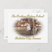 Levade avec cavalier, Carte postale (Devant / Derrière)