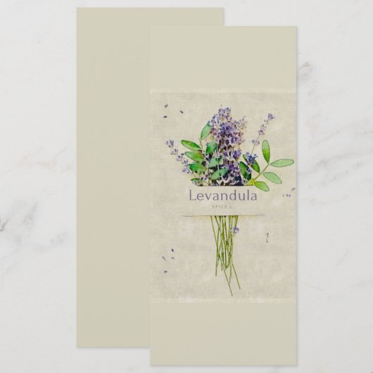 Levandula spica (Voorkant / Achterkant)