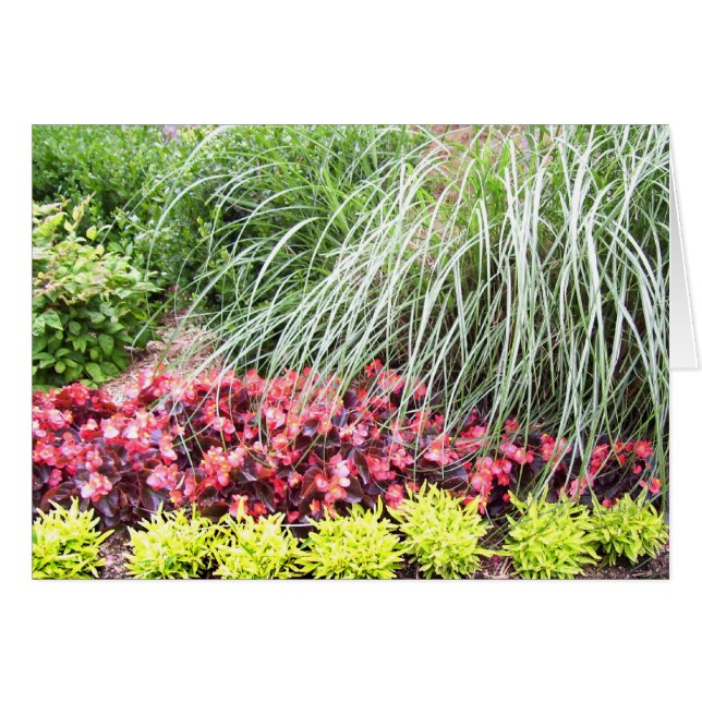 Leve Flowers Blank Card (Voorkant Horizontaal)