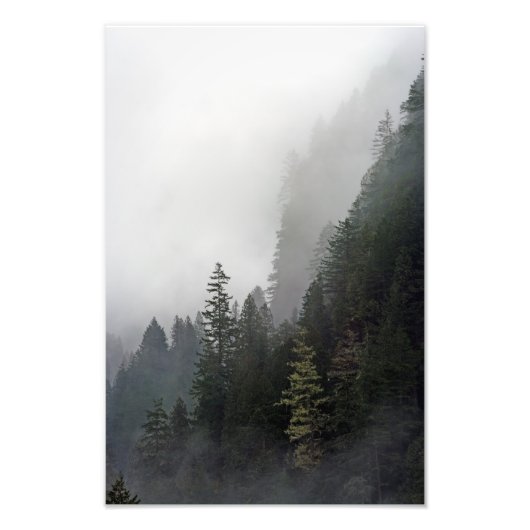 Leven aan de rand. foto afdruk (Voorkant)