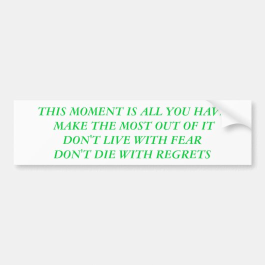 LEVEN BUMPERSTICKER (Voorkant)