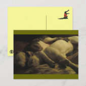 leven in een paradijs briefkaart (Voorkant / Achterkant)