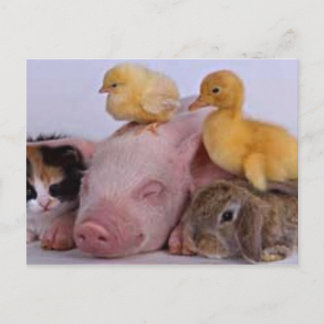 LEVEN IS GOED BRIEFKAART