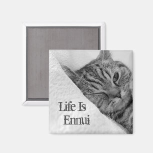 Leven is verveling, gestreepte kat ligt neer magneet