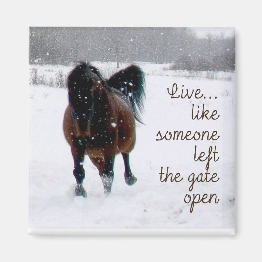 Leven! Magneet (Voorkant)