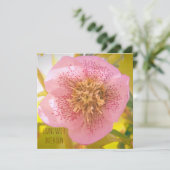 Leven met intentie. Helleborus (Lenteroos) (Staand voorkant)