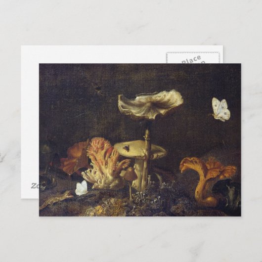 Leven met paddenstoelen en botervliegen briefkaart (Voorkant / Achterkant)