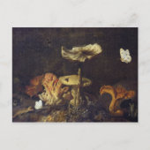 Leven met paddenstoelen en botervliegen briefkaart (Voorkant)