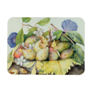 Leven met Plums, Walnuts and Jasmine (m/v Magneet