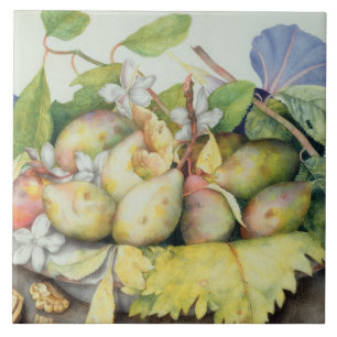 Leven met Plums, Walnuts and Jasmine (m/v Tegeltje