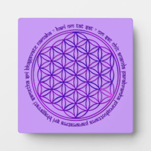 Leven - Moola mantra - violet Fotoplaat