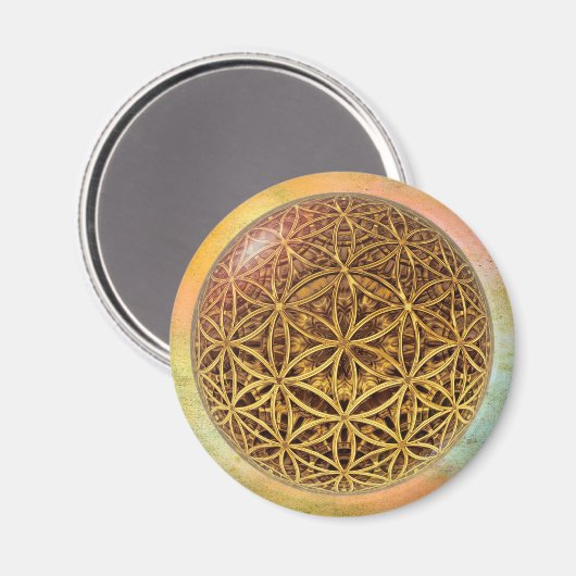 Leven- / onbeschaamde blikvangers - goud in het ba magneet (Voorkant / Achterkant)