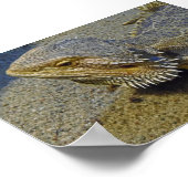 Leven onder vuur - Draak met dwarsbalk Poster (Hoek)