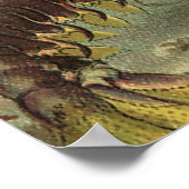  leven onder water van Zee, dieren in de oceaan Poster (Hoek)